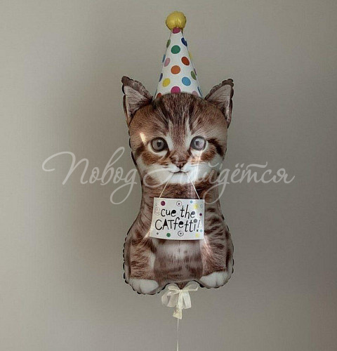 Шары Котенок в колпаке