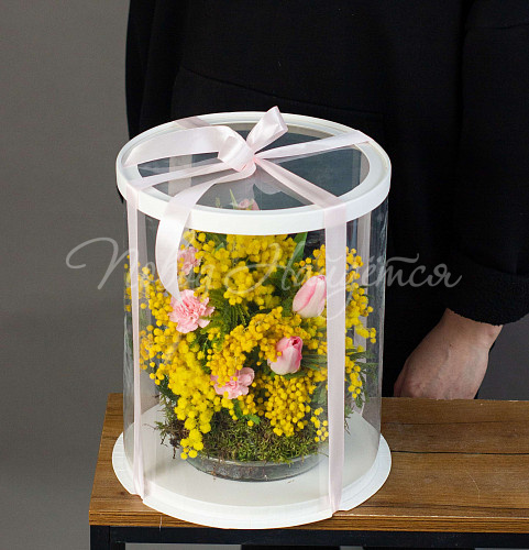 8.03 КОРП ВОХ 08