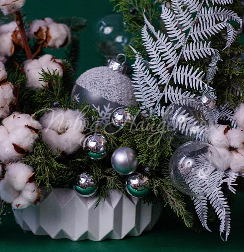 Зимние грезы