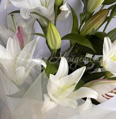 3500 - 5500 руб. Букет Лилу