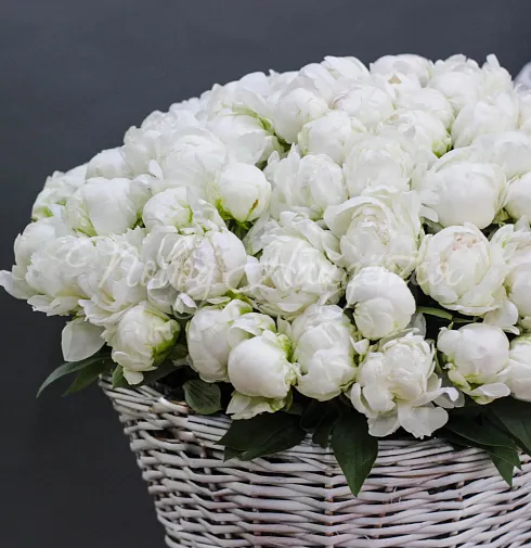 Букет Моя Венеция — Повод Найдется