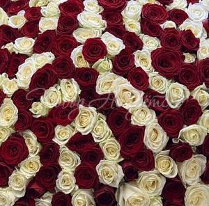 201 роза Букет Покорить