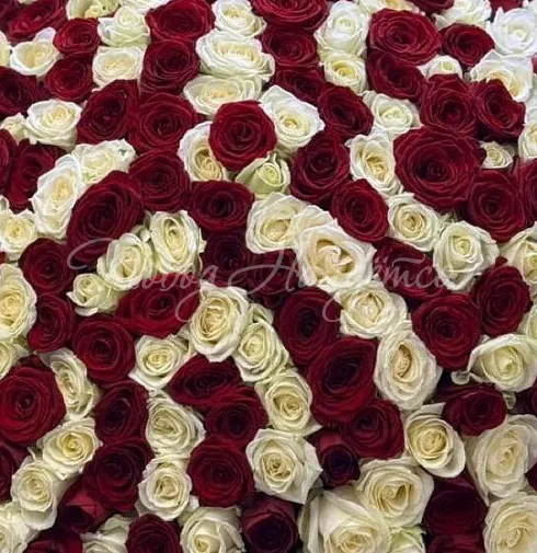 Букет Покорить — Повод Найдется