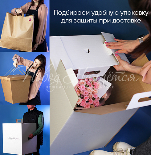 Больше чем чувства