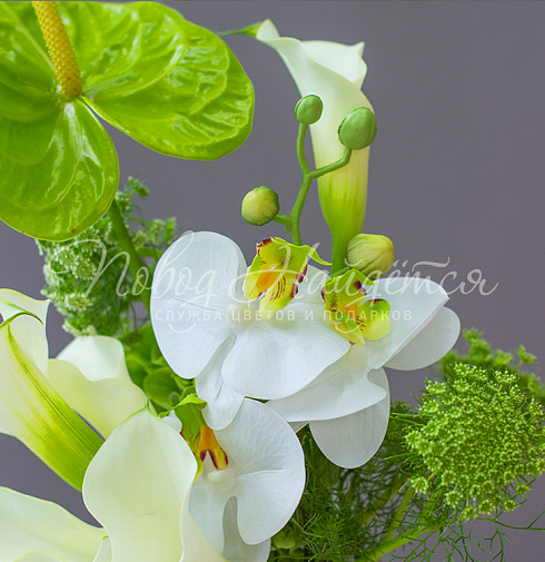 Букет невесты №542