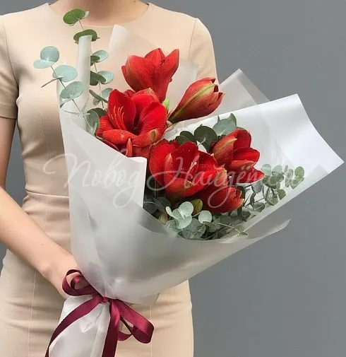 Вишневая страсть