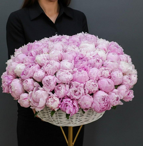 ПИОНЫ Букет 101 пион