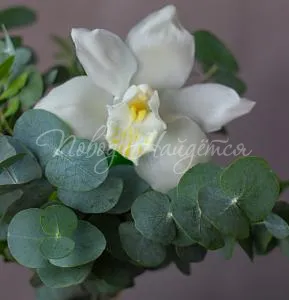 Композиции Цветочная композиция Композиция № 351