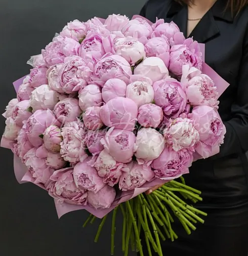 Букет Облака — Повод Найдется