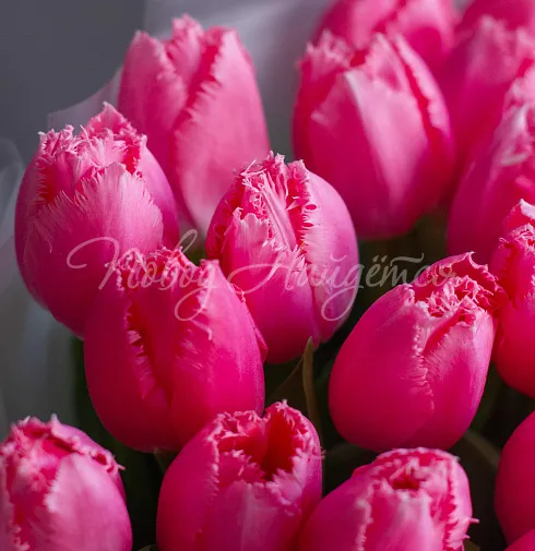 Букет Сказочная красота — Повод Найдется