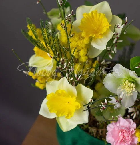 Корпоративный 053