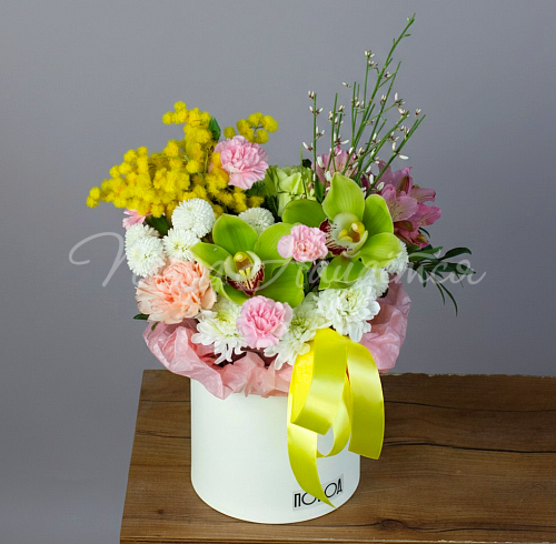 8.03 В объятиях весны