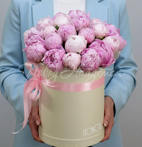 Пионы Букет Корсика