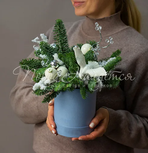 Новогодний порыв