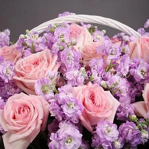 Букеты с МАТИОЛОЙ Букет Полуночный бриз