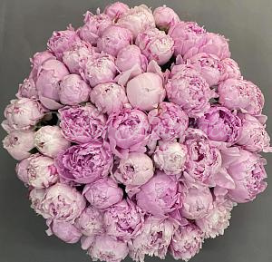 ПИОНЫ Букет Яркая энергия