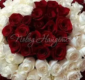 101 роза Букет Горячее Сердце