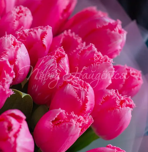 Букет Сказочная красота — Повод Найдется