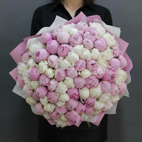 ПИОНЫ Букет 101 пион микс