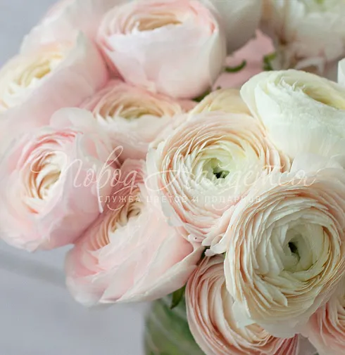 Букет Только с тобой — Повод Найдется