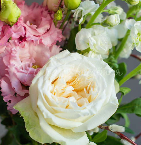 Новая весна