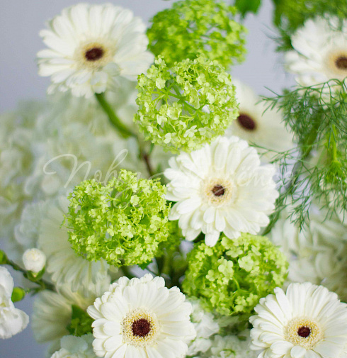 Букет Ромашки в поле — Повод Найдется