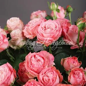 Пионовидные розы Букет Элегантная классика