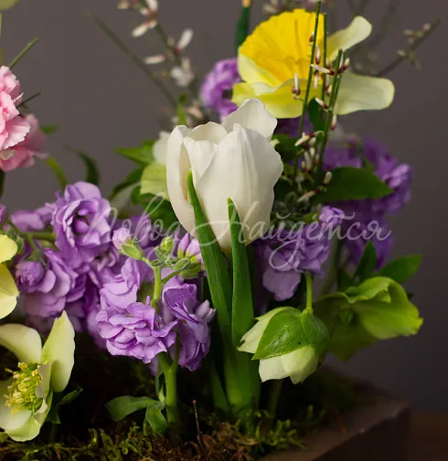 Корпоративный 051