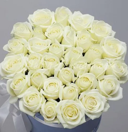 Корзина Между небом и землей — Повод Найдется