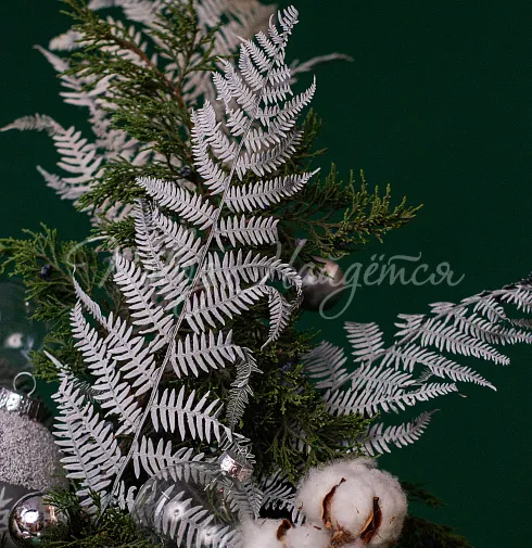 Зимние грезы