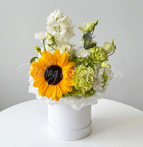 Букет Мое солнце — Повод Найдется