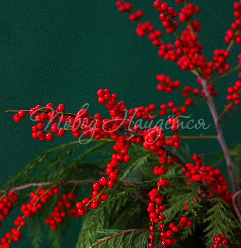 Атмосфера праздника