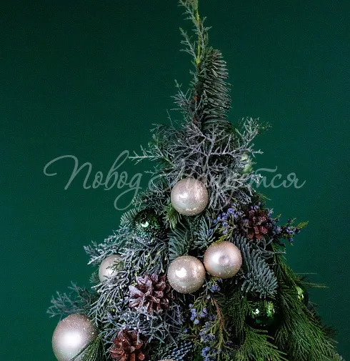 Снежное утро