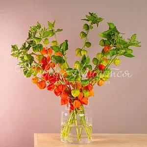 ОСЕНЬ Букет Яркая осень