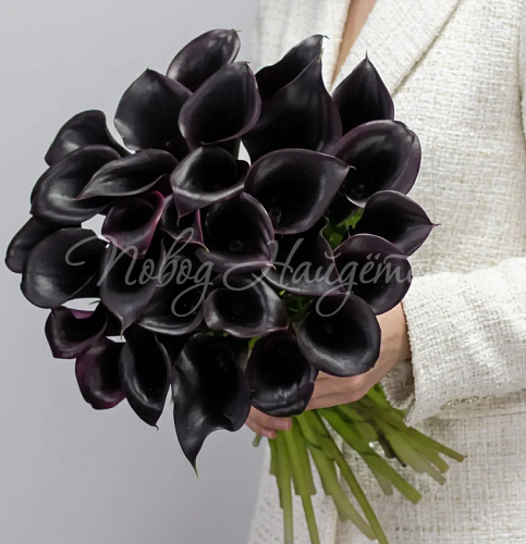 Мужской букет Букет 29 фиолетовых калл