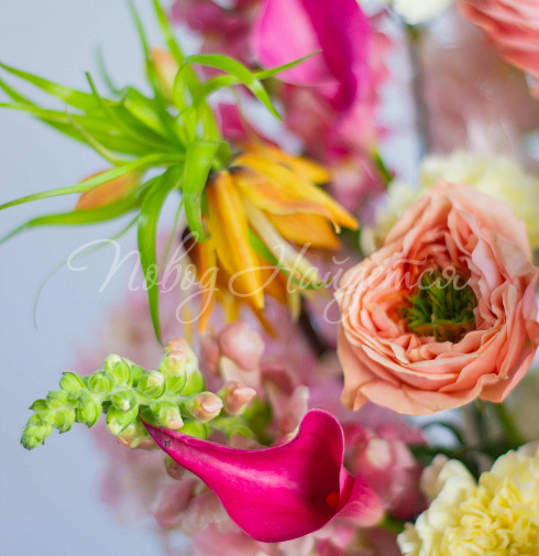 Букет Солнце Колорадо — Повод Найдется