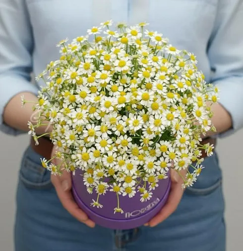 Букет Кусочек лета — Повод Найдется