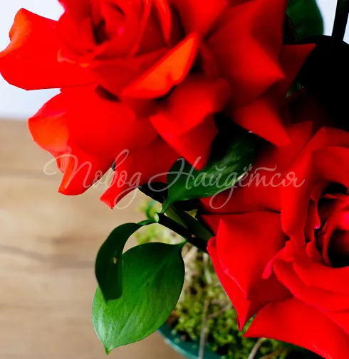 Цветочная композиция Композиция №149 — Повод Найдется