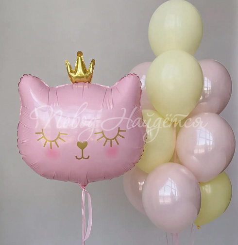 Шары Шары для девочки 008 — Повод Найдется