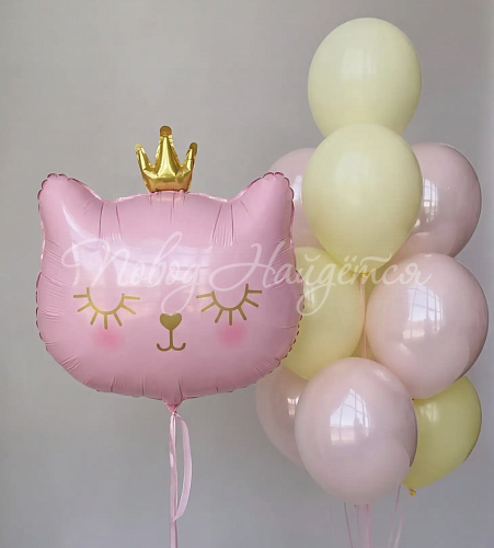 Воздушные шары Шары Шары для девочки 008