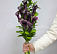 Букет 9 фиолетовых калл — Повод Найдется