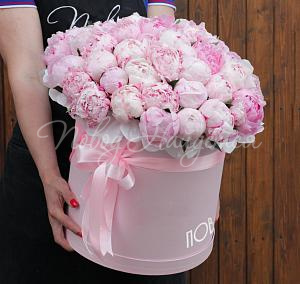 Букет 51 пион в коробке