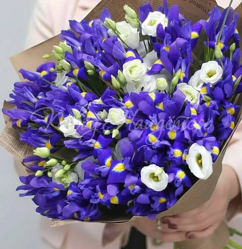 Букет Капризная — Повод Найдется