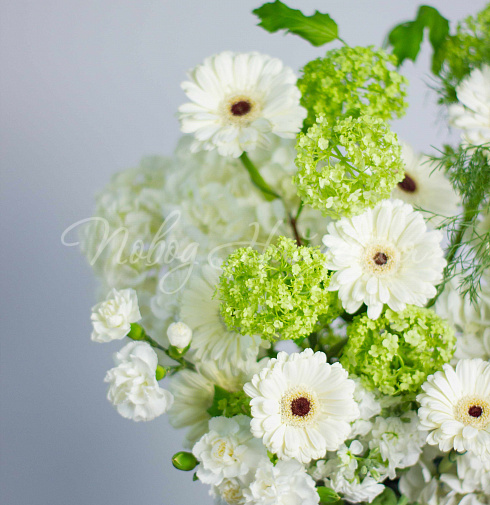Букет Ромашки в поле — Повод Найдется