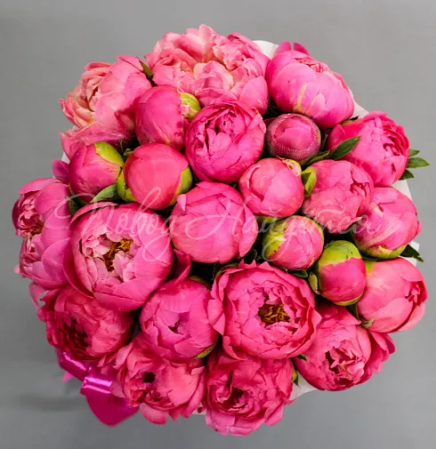 Корзина Лозанна — Повод Найдется