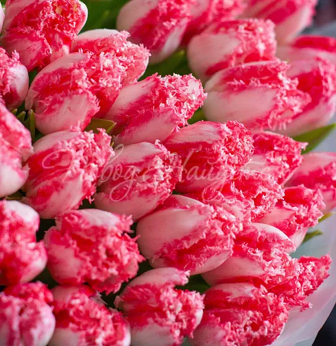 Букет Ты-моя нежность — Повод Найдется