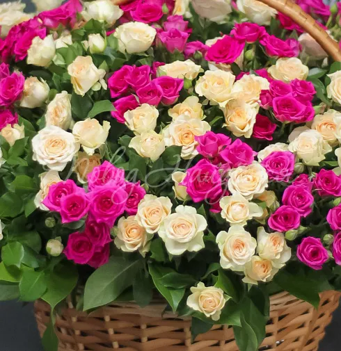 Букет Французская кадриль — Повод Найдется