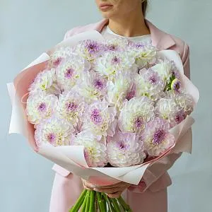 Монобукеты из георгинов Букет Ваниль