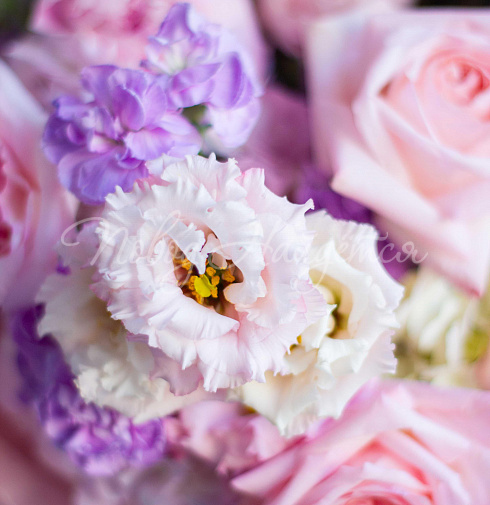 Букет Притягательная — Повод Найдется