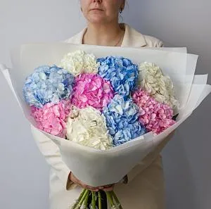 ГОРТЕНЗИИ Букет Разноцветная радуга
